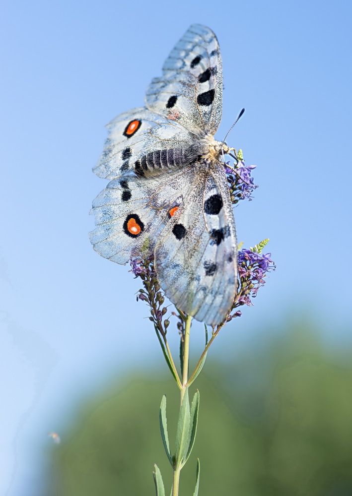 Photograph by Евгений Дроботенко