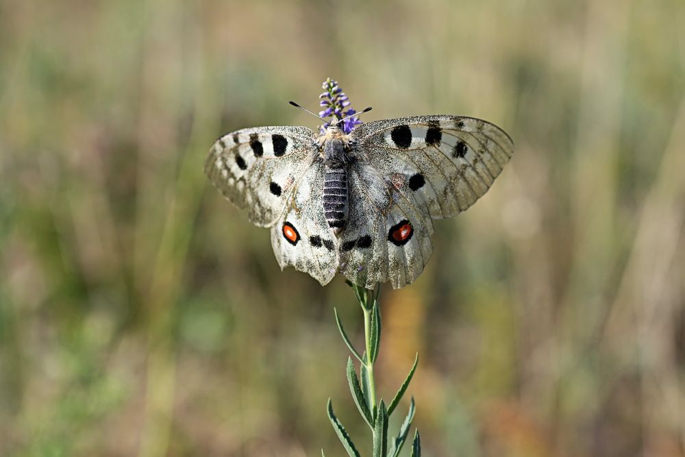 Photograph by Евгений Дроботенко