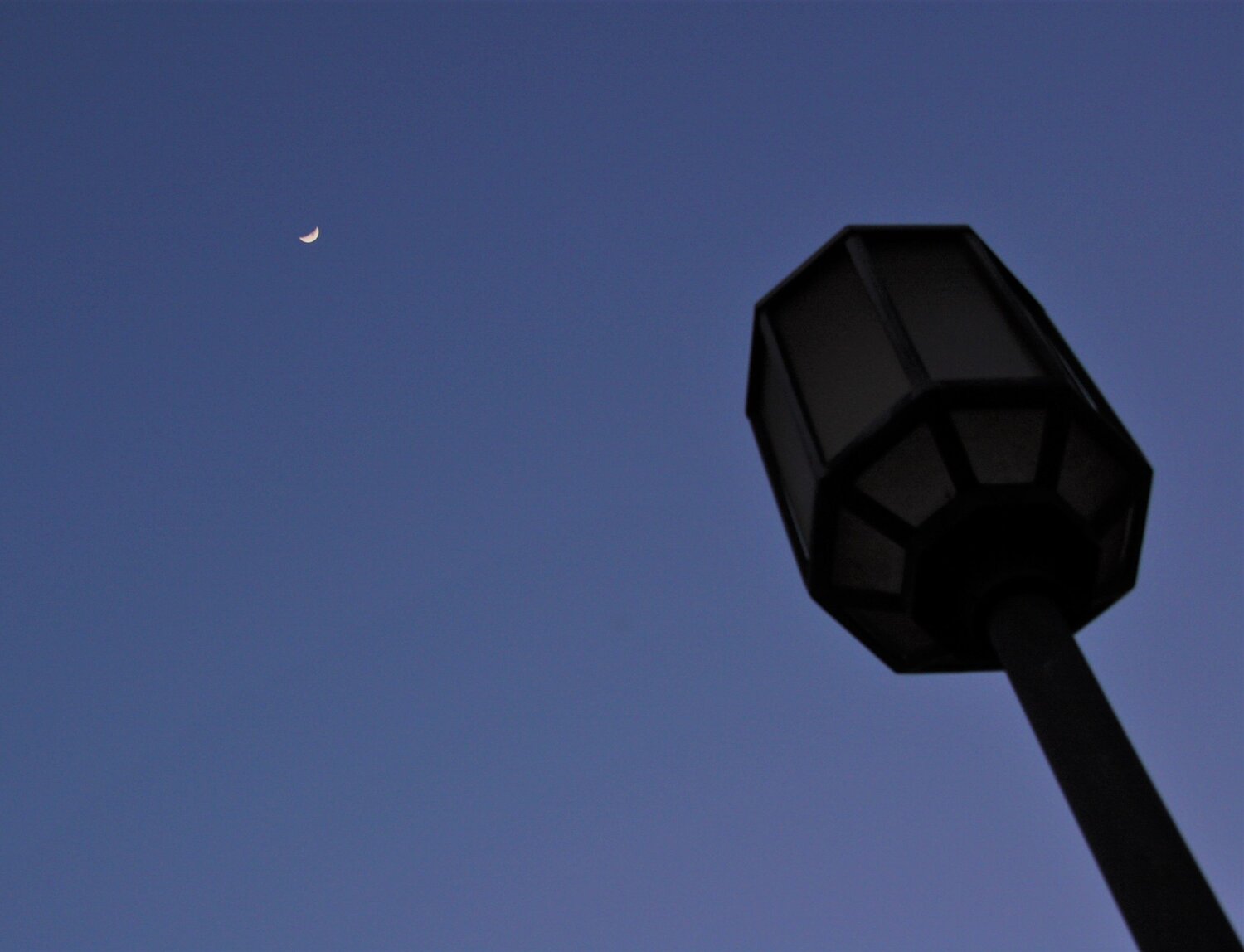 Photo #9350050