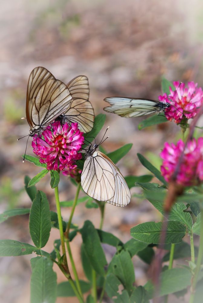 Photograph by Олеся Постнова