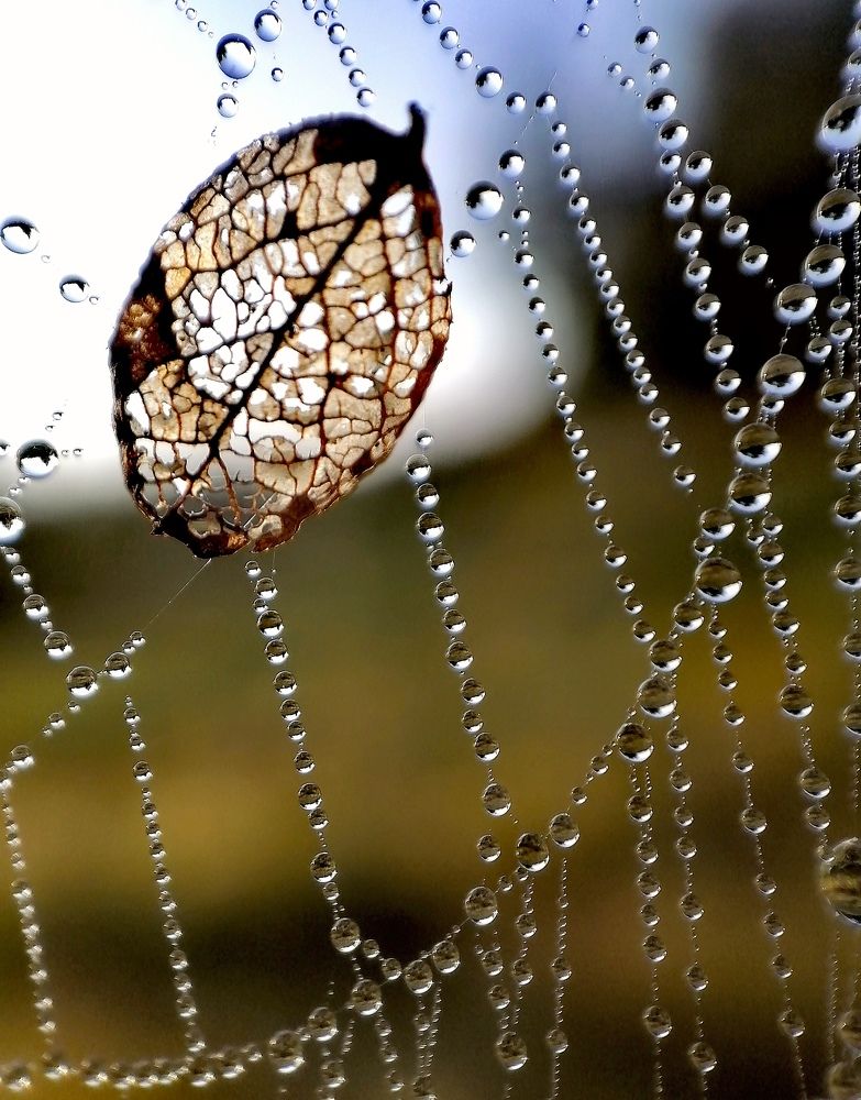 Photograph by Krystyna