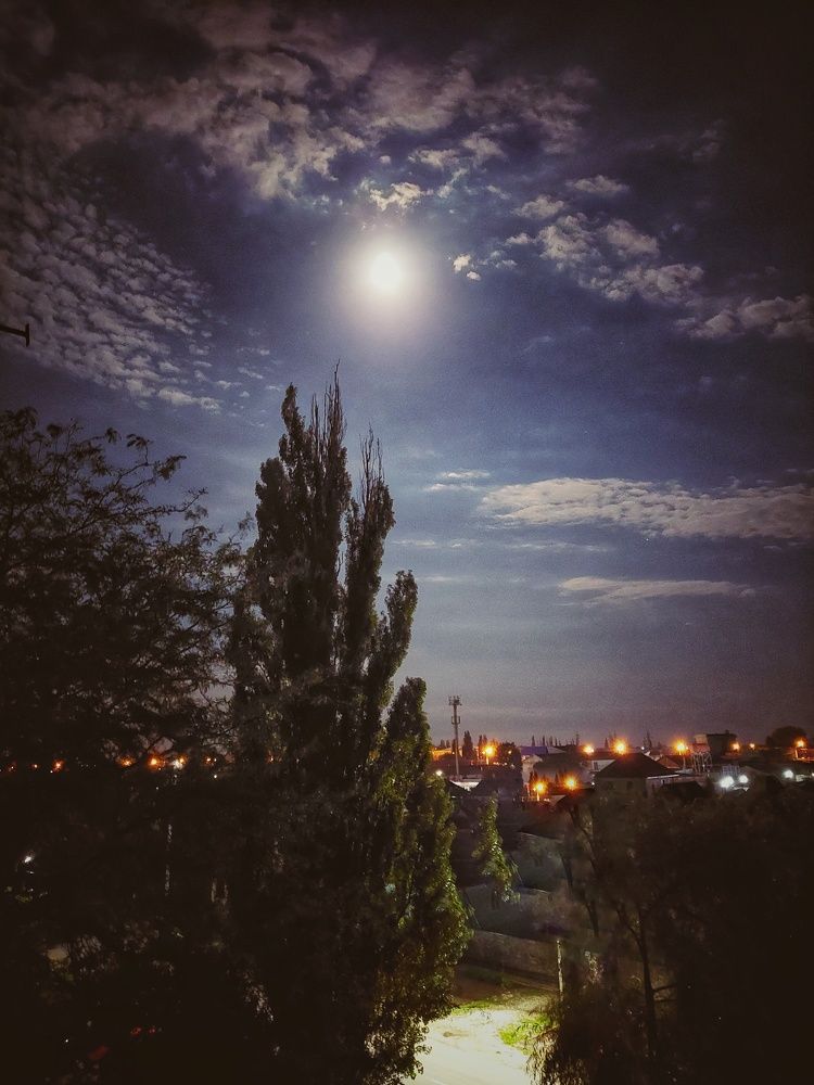 Photograph by Марина Жарикова