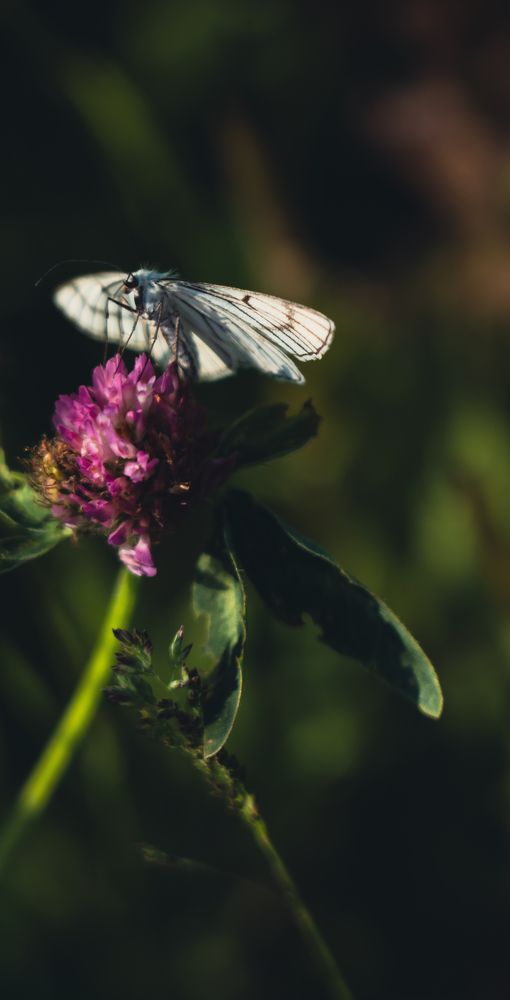 Photograph by Герман Крупенин