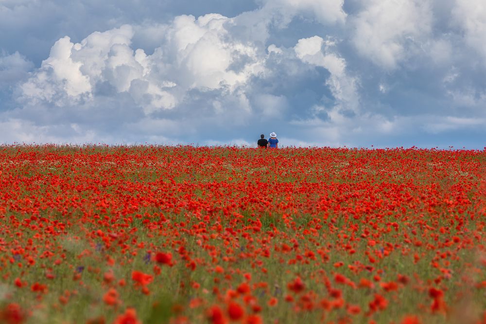 Фотография автора Александр Пашеничев