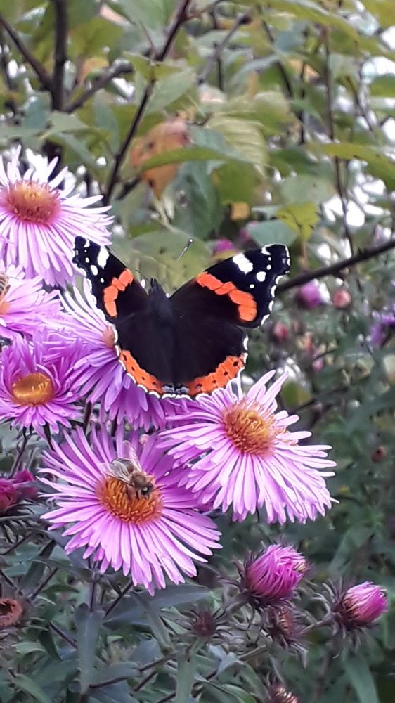 Photograph by Татьяна Солтан