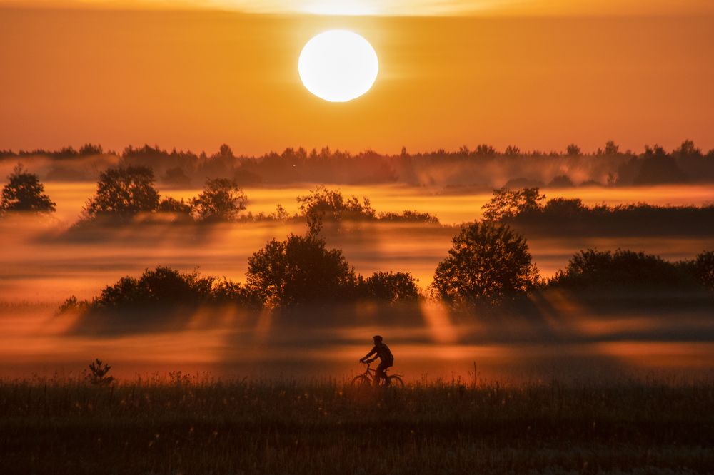 Photograph by Наталья