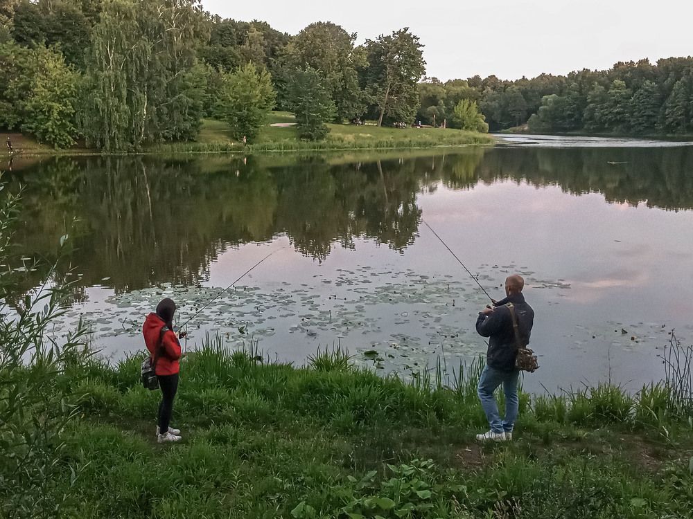 Photograph by Vladimir  Komarov