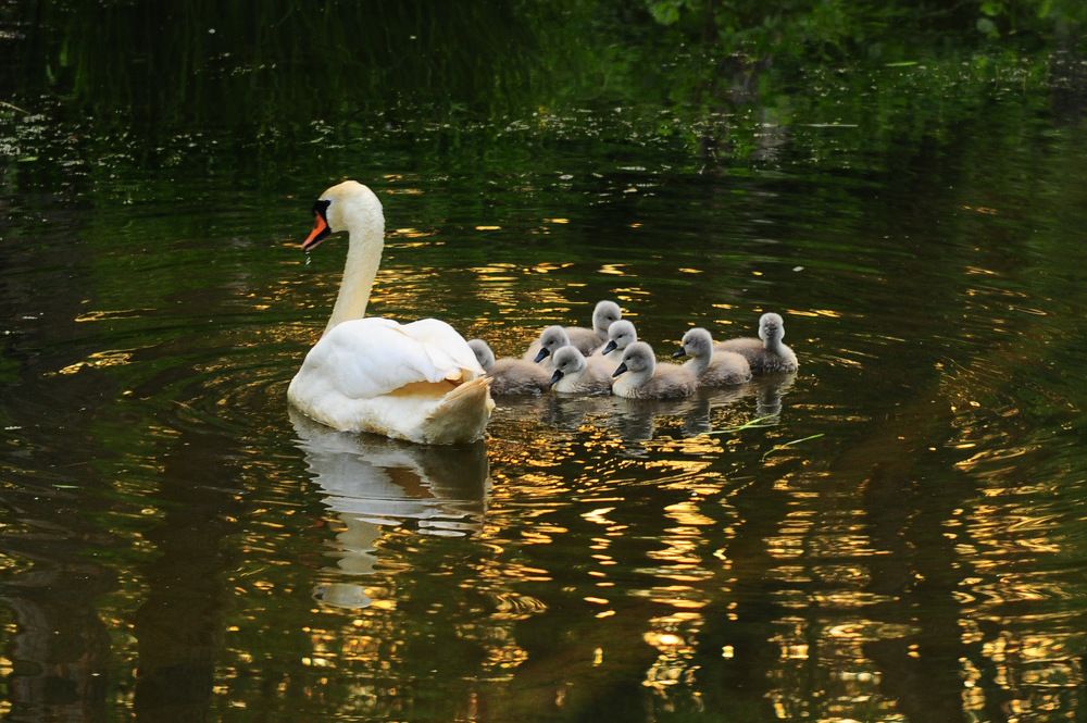 Photograph by Сергей Тарасюк