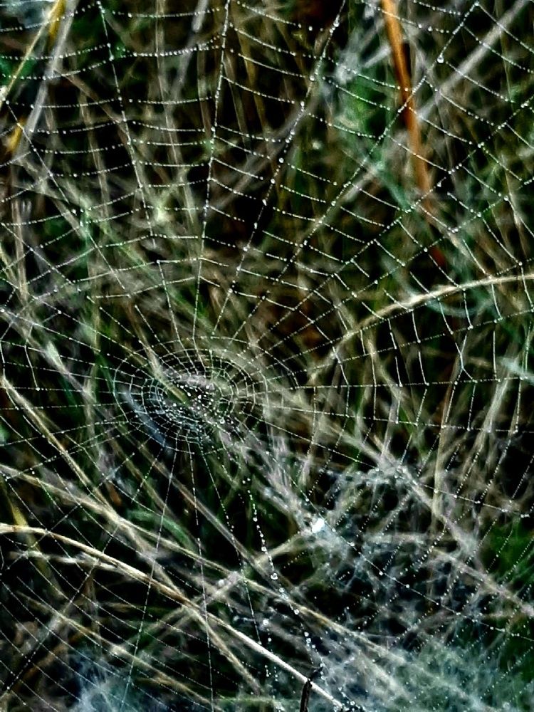 Photograph by Ольга Александрова