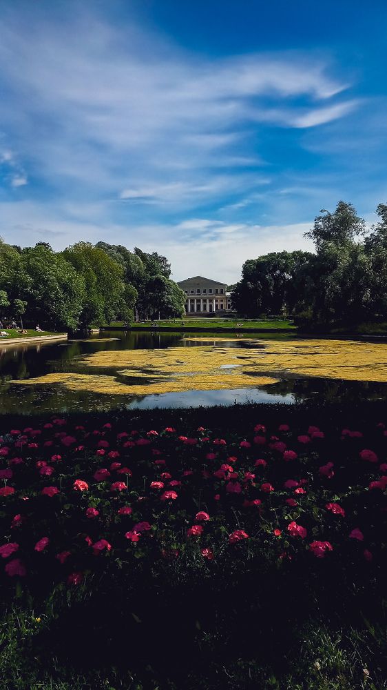 Фотография автора Анастасия