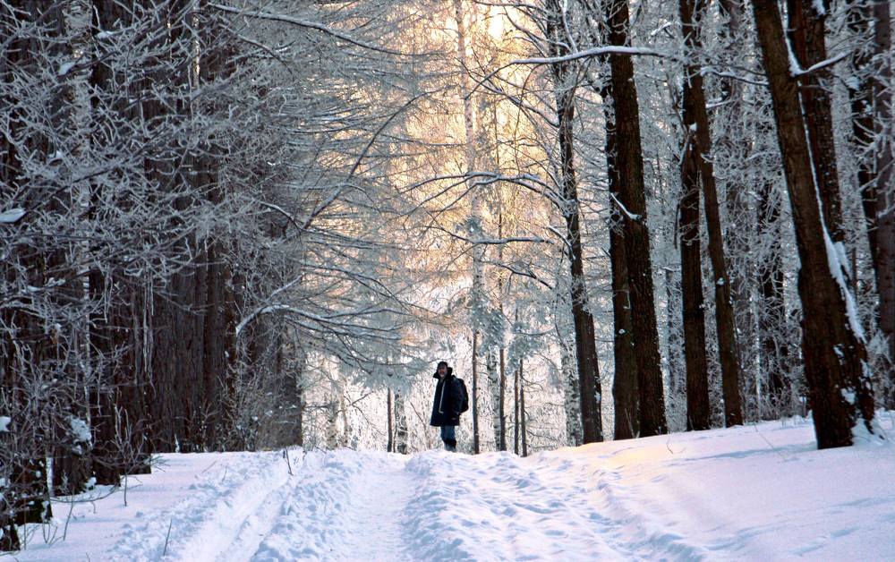 Photograph by Заболотская Ольга