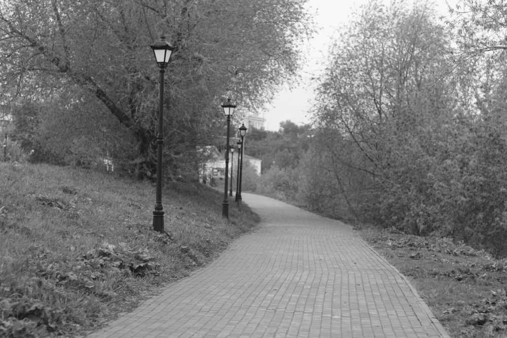 Photograph by Софья Белоногова