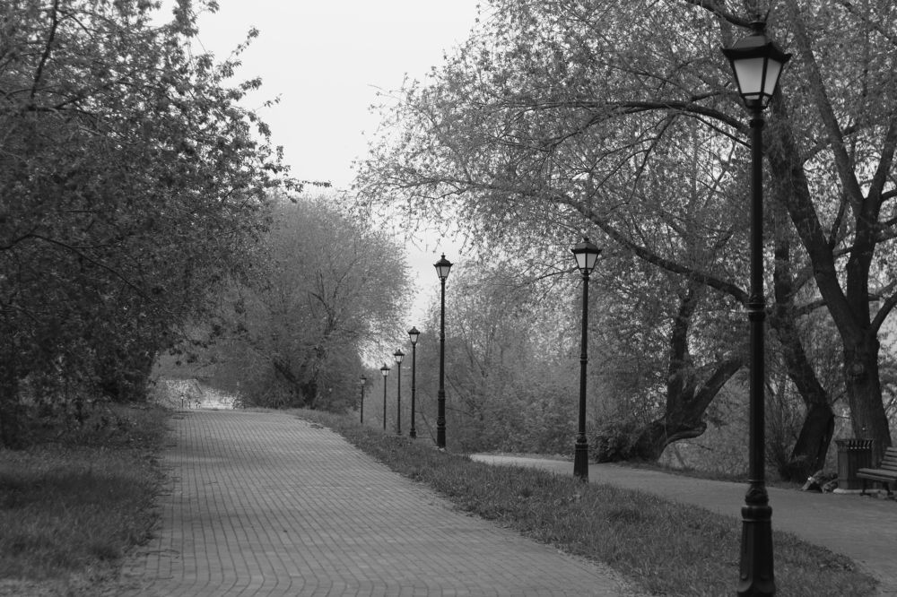 Photograph by Софья Белоногова