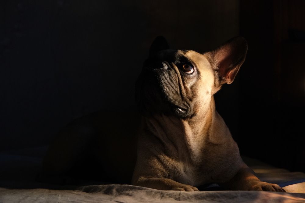 Photograph by Ирина