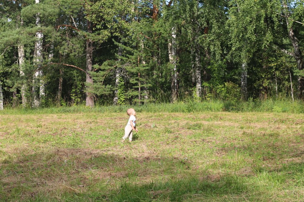 Photograph by Софья Белоногова