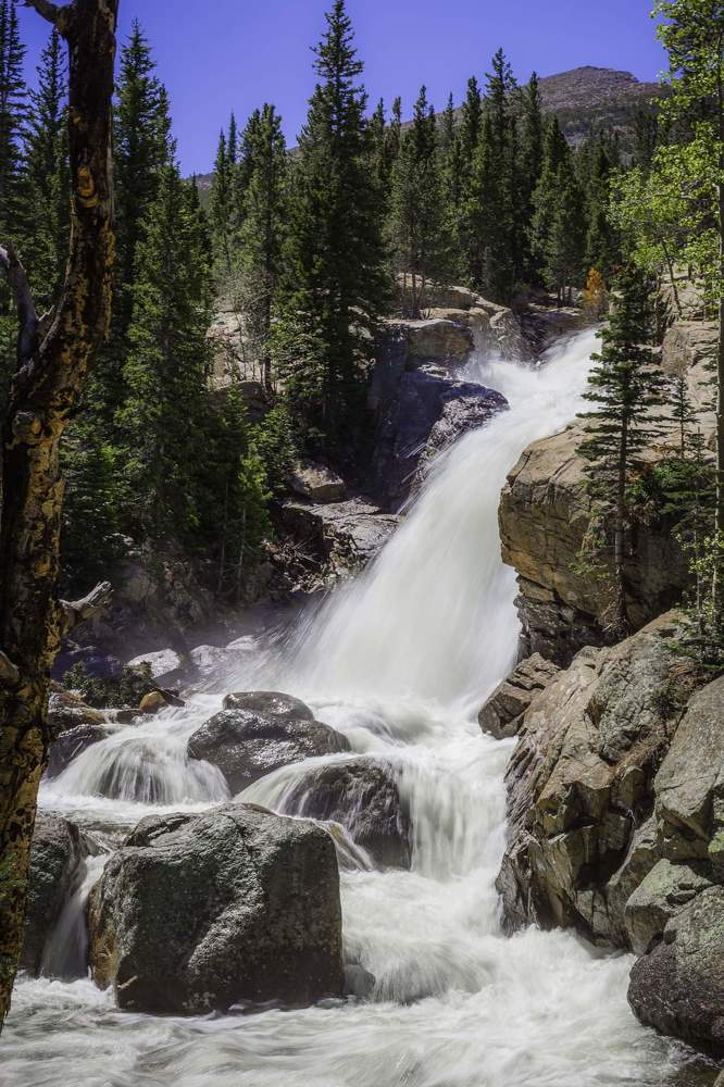 Photograph by Ламара Авалишвили