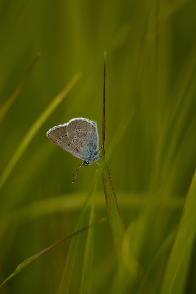 Photograph by Ангелина Высочина