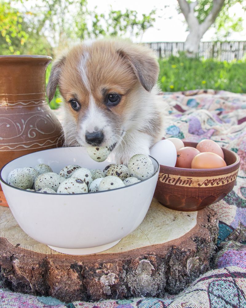 Photograph by Влад Барышов