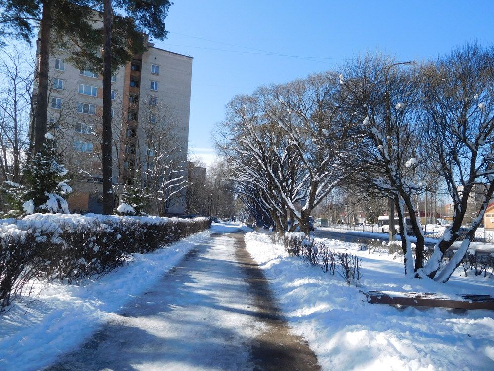 Photograph by Маша Худякова