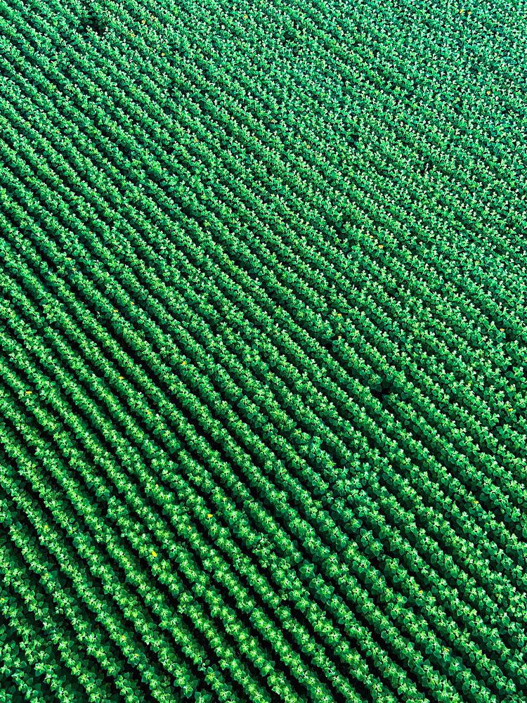 Photograph by Богдан Тарасов