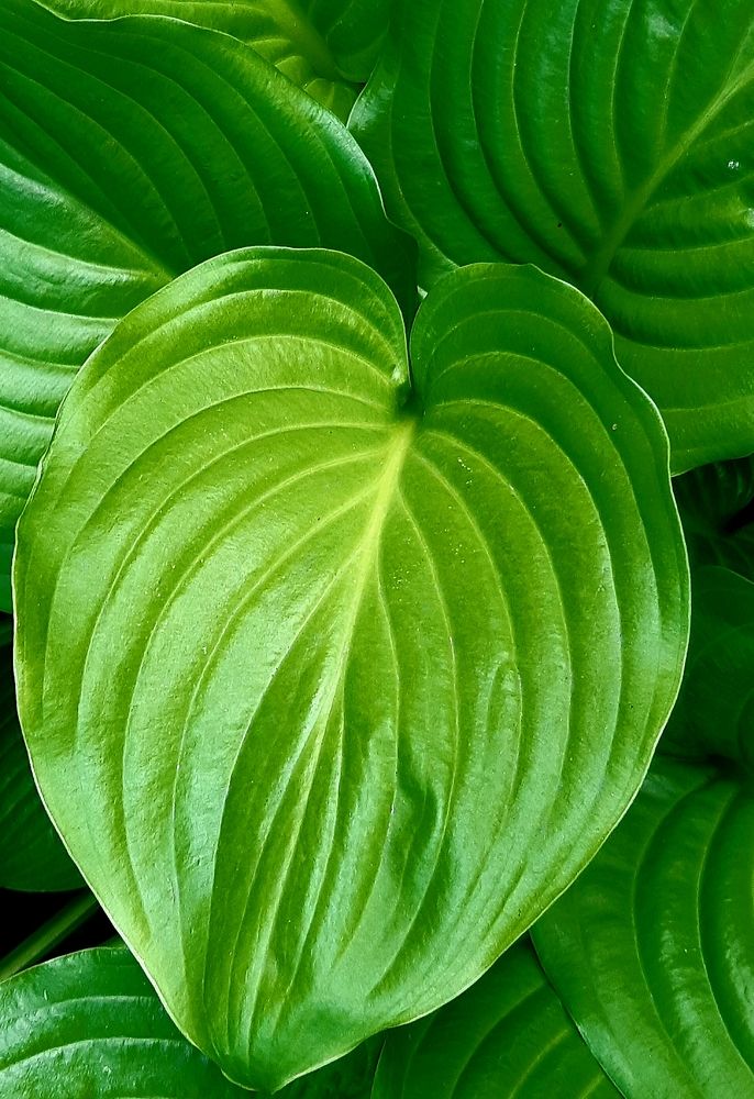 Photograph by Ольга Александрова