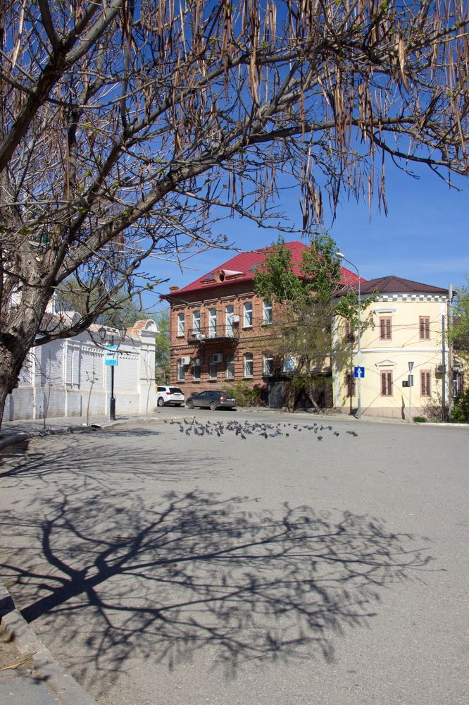 Photograph by Марина