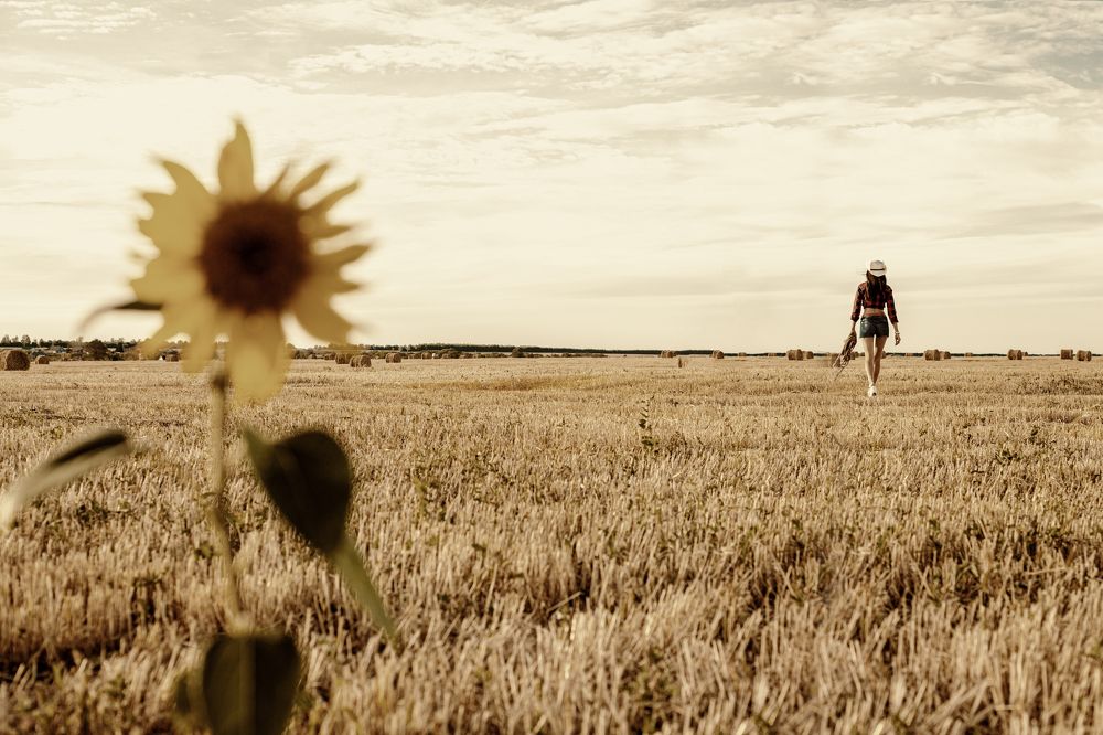 Photograph by Богдан Тарасов