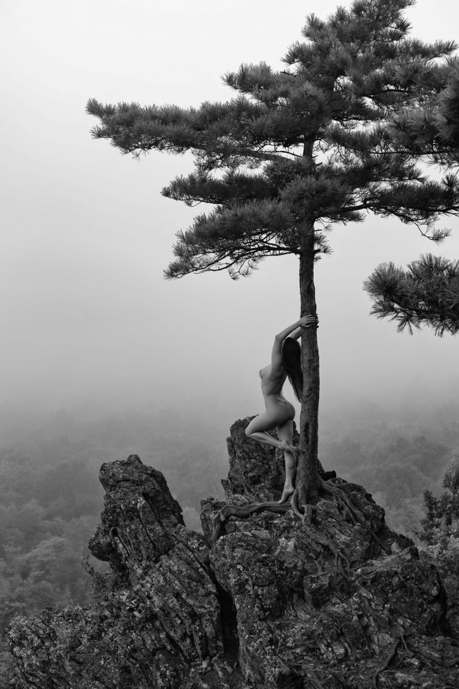 Photograph by Щебланов Виктор