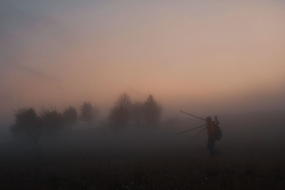 Photograph by Andrey Labutin