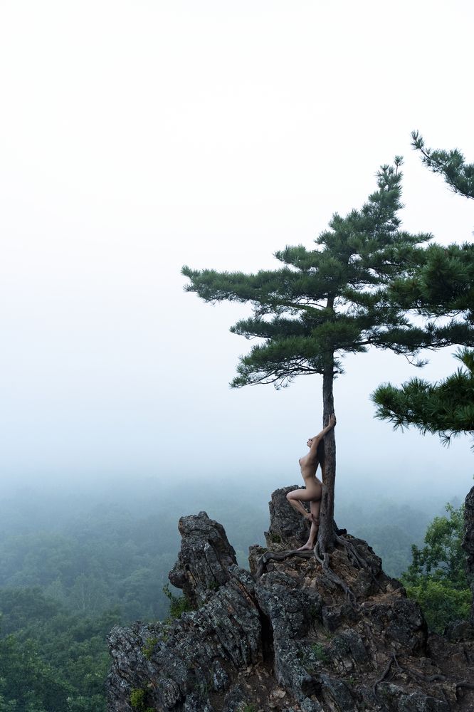 Photograph by Щебланов Виктор