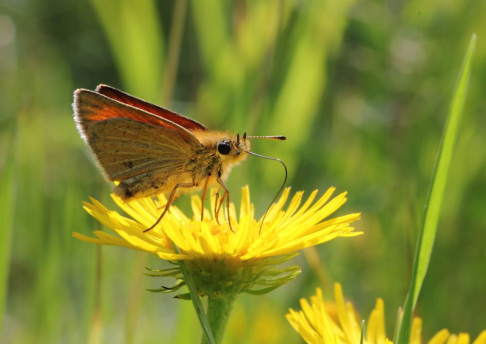 Фотография автора Кухта Мария