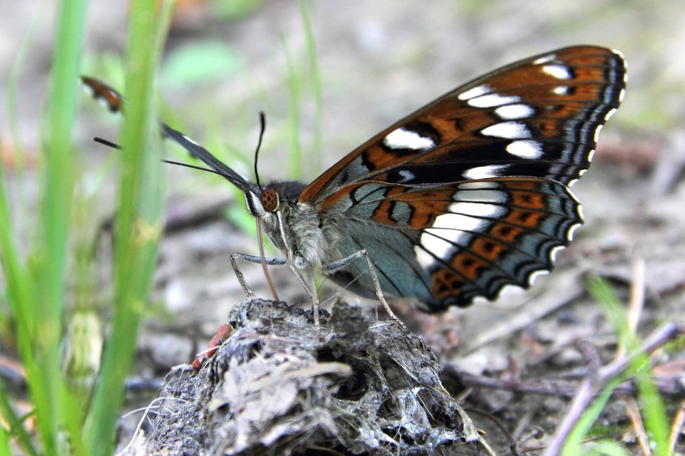 Фотография автора Кухта Мария