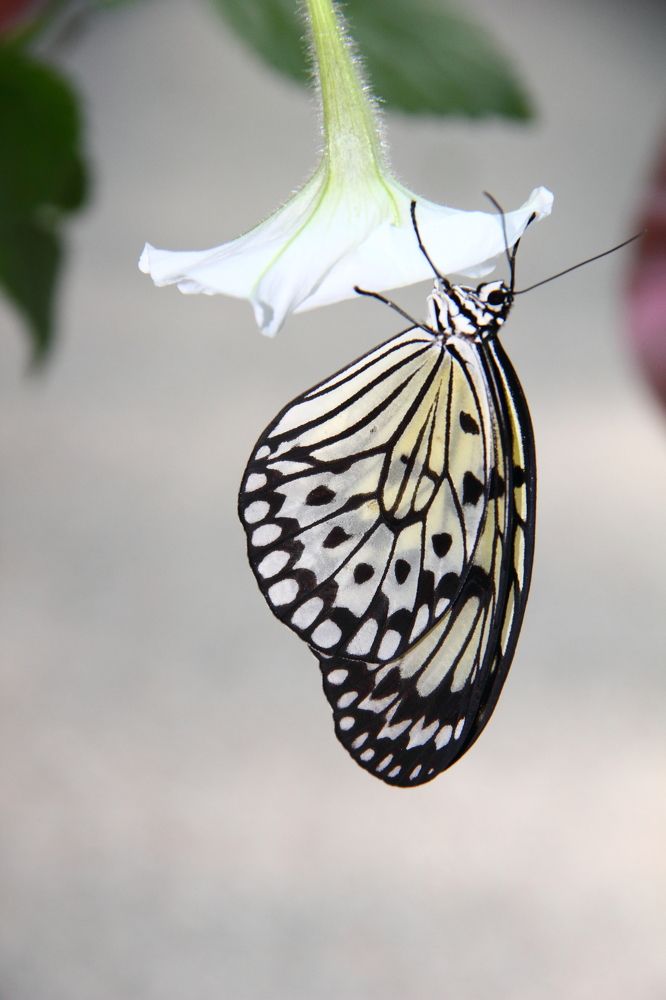 Фотография автора Кухта Мария