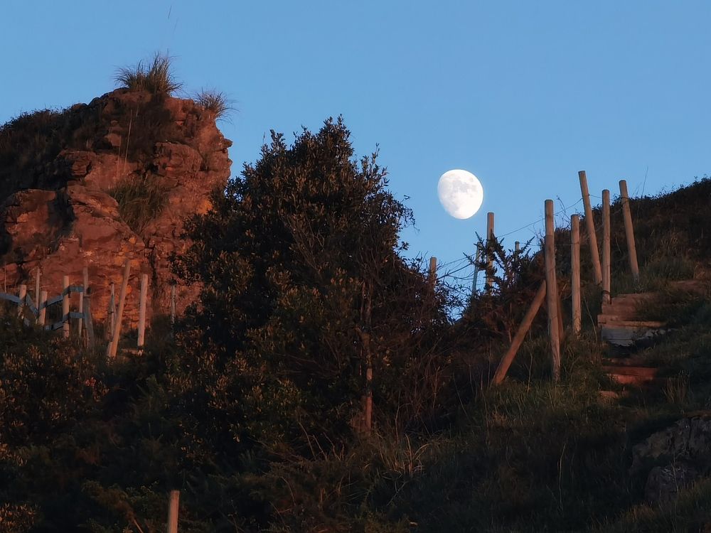 Фотография автора Алексей Головатый
