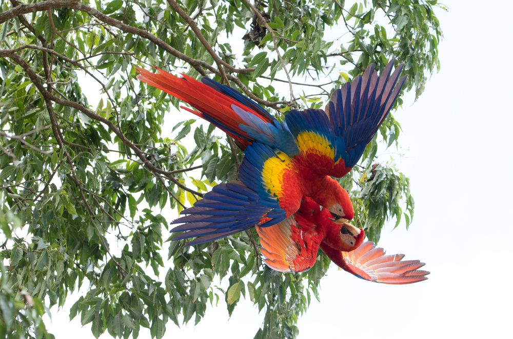 Photograph by Omar Rangel