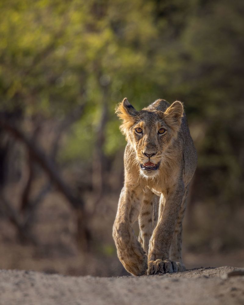 The Bold and Beautiful