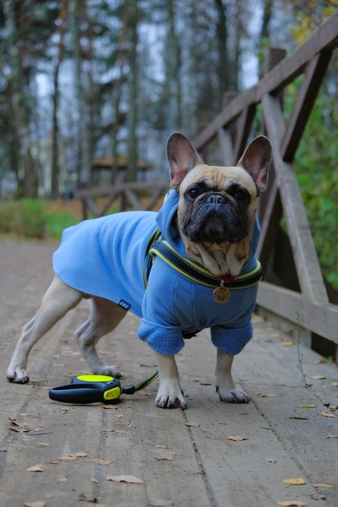 Photograph by Ирина