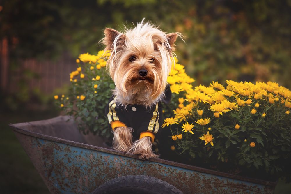 Photograph by Дарья Нартова