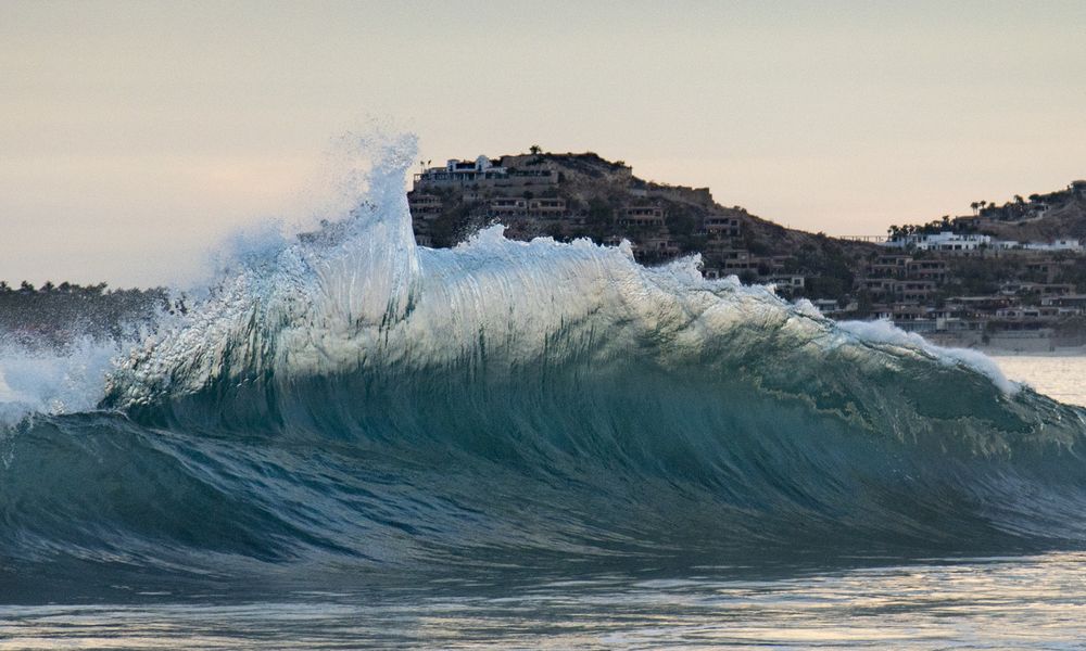 Photograph by Noe Castro