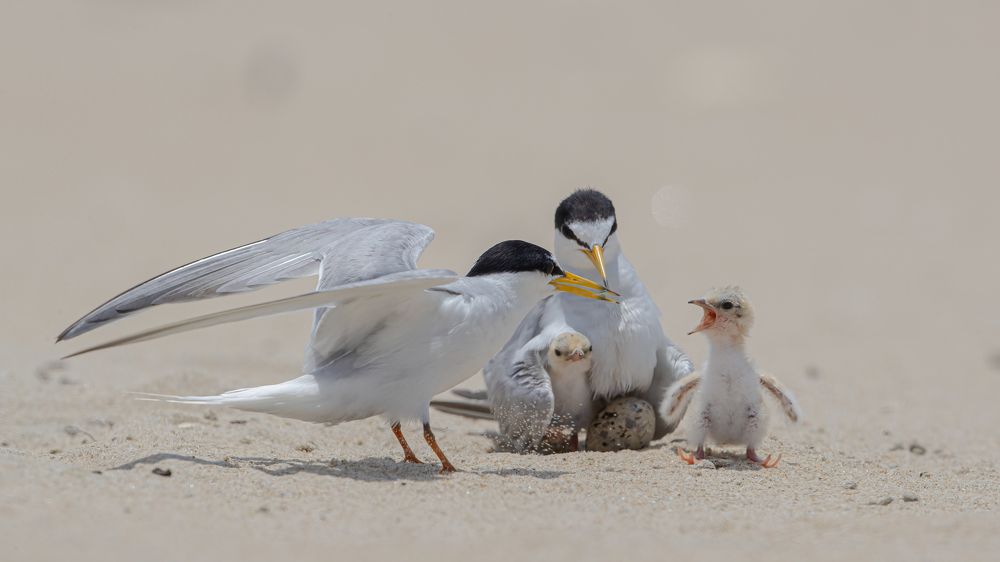 Photograph by Rin Võ