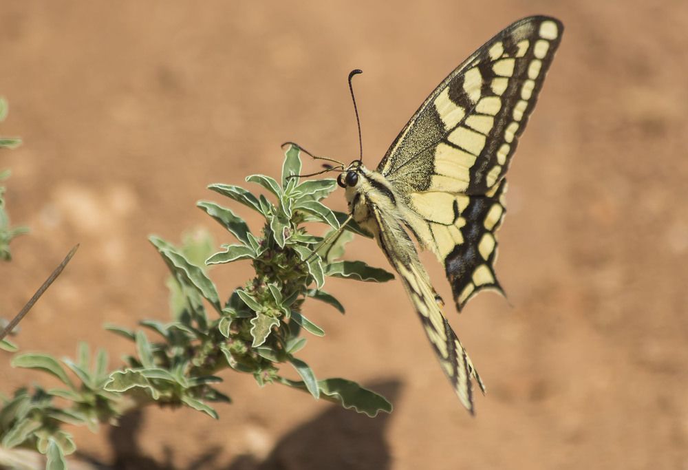 Photograph by Валентина Лопаткина