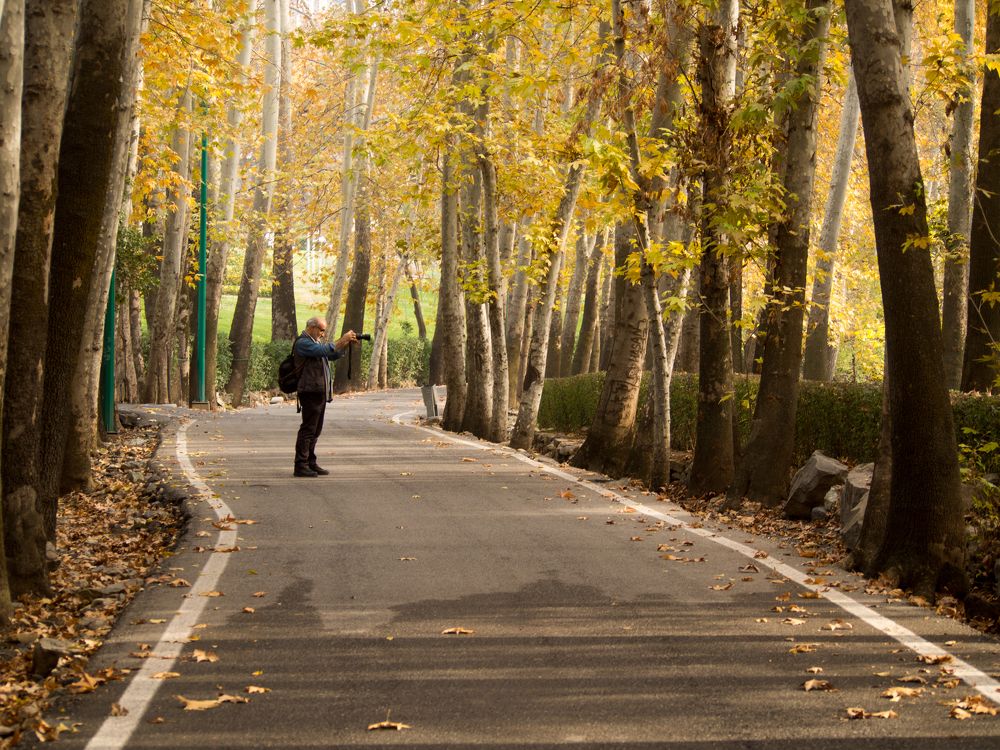 Photograph by Abdolreza Aleagha