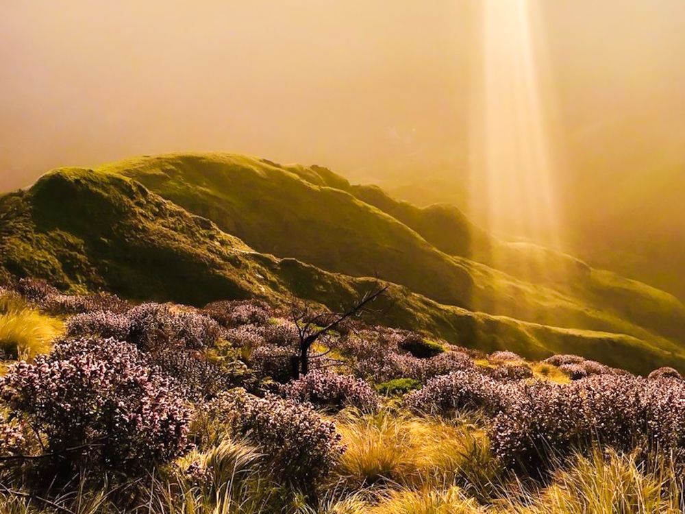 Photograph by Afthash Kodalam Pallath