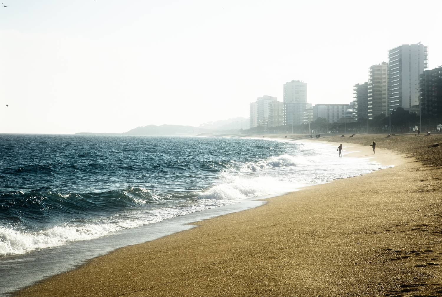 Photo #9351301