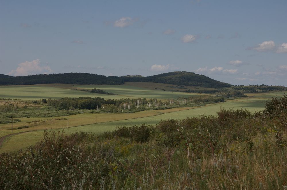 Photograph by Елена Алешкевич