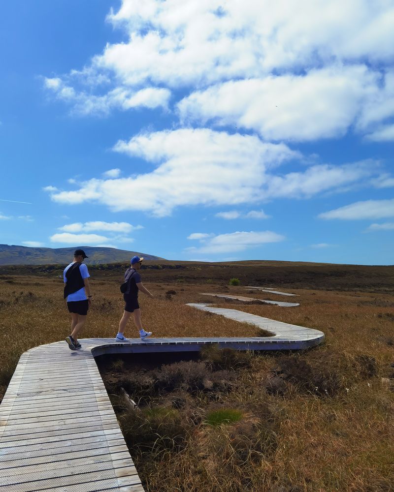 Photograph by Michael Deligan