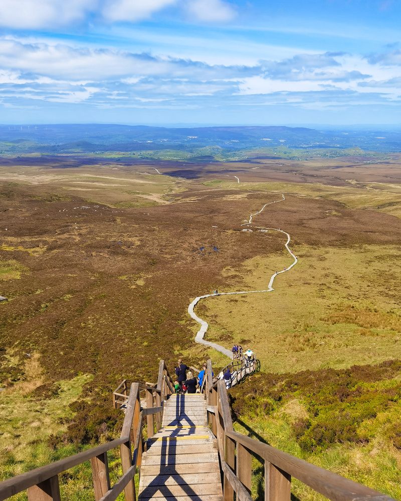 Photograph by Michael Deligan