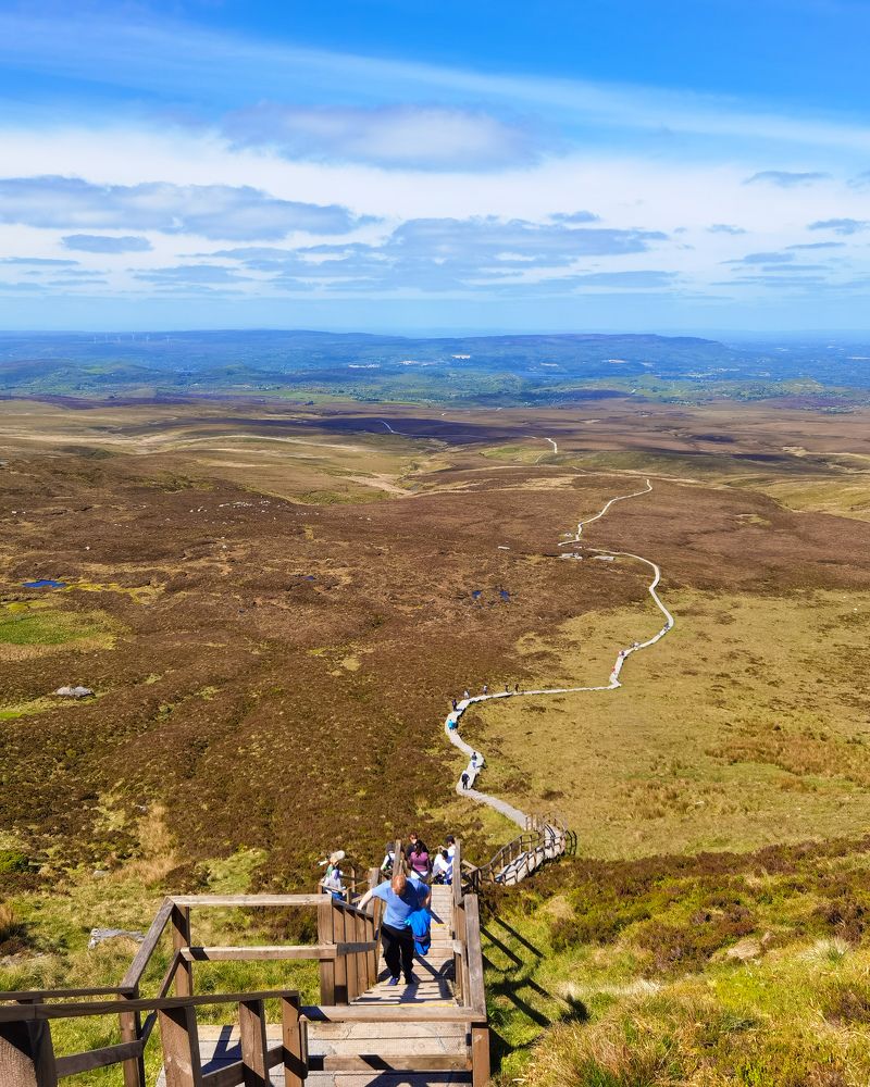 Photograph by Michael Deligan