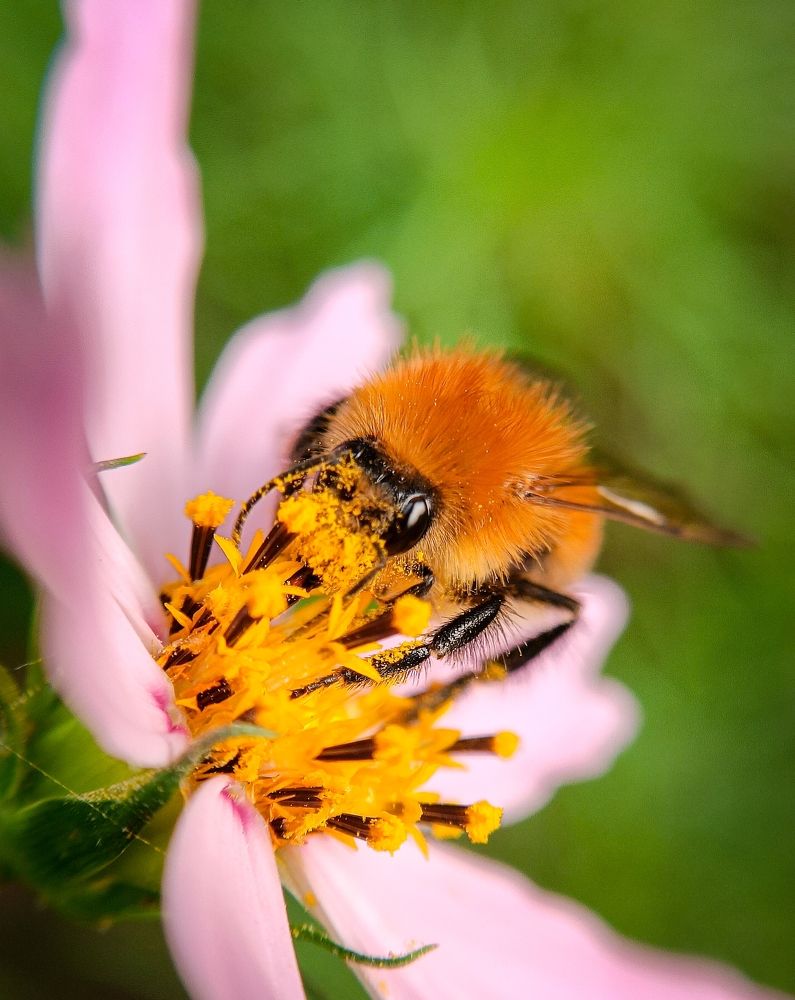 Photograph by Мария