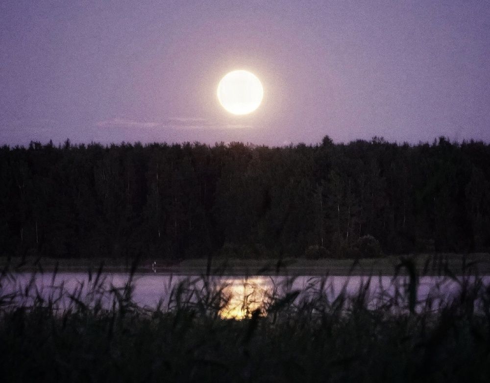 Photograph by Марина Безенкина